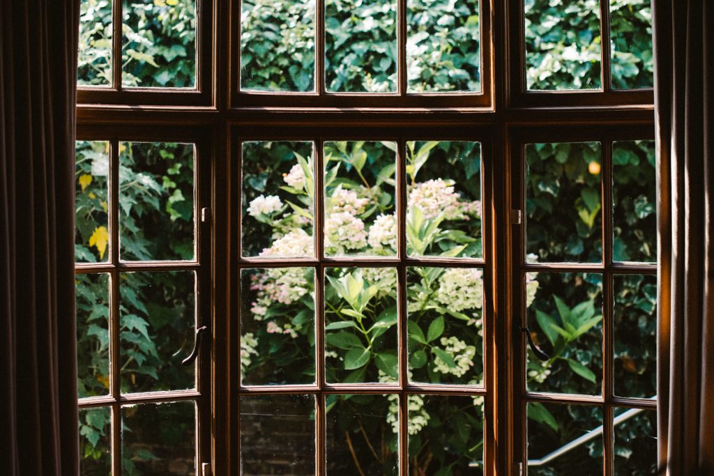 Flowers in window